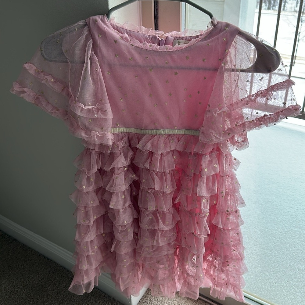 Pink Ruffled Tulle Dress with Sheer Sleeves